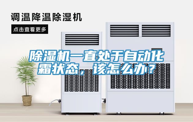 MR.好色破解版一直处于自动化霜状态，该怎么办？