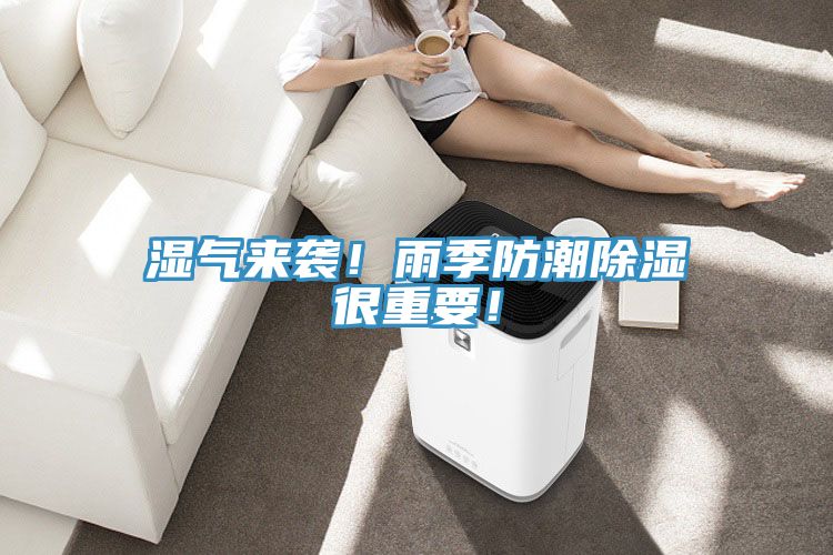 湿气来袭！雨季防潮除湿很重要！