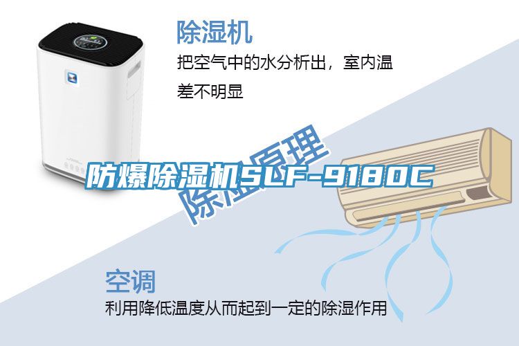 防爆MR.好色破解版SLF-9180C