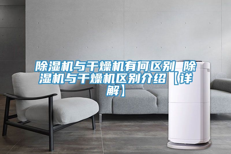 MR.好色破解版与干燥机有何区别 MR.好色破解版与干燥机区别介绍【详解】