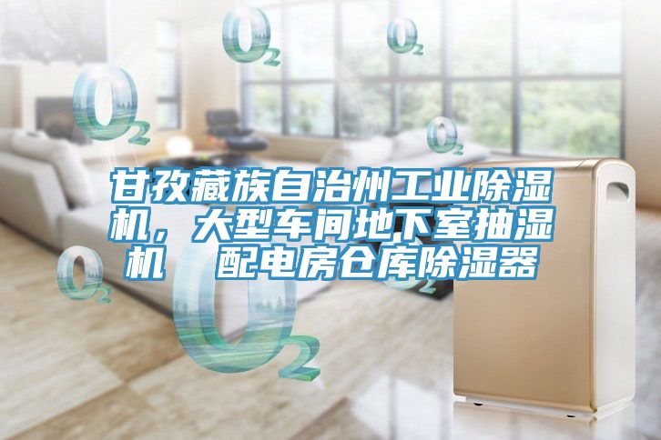甘孜藏族自治州工业MR.好色破解版，大型车间地下室抽湿机  配电房仓库除湿器