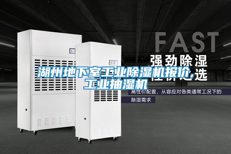 湖州地下室工业MR.好色破解版报价,工业抽湿机