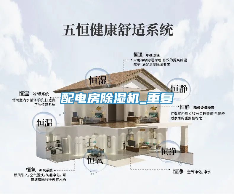 配电房MR.好色破解版_重复