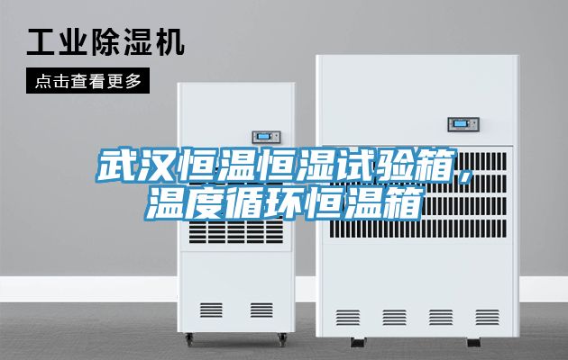 武汉恒温恒湿试验箱，温度循环恒温箱