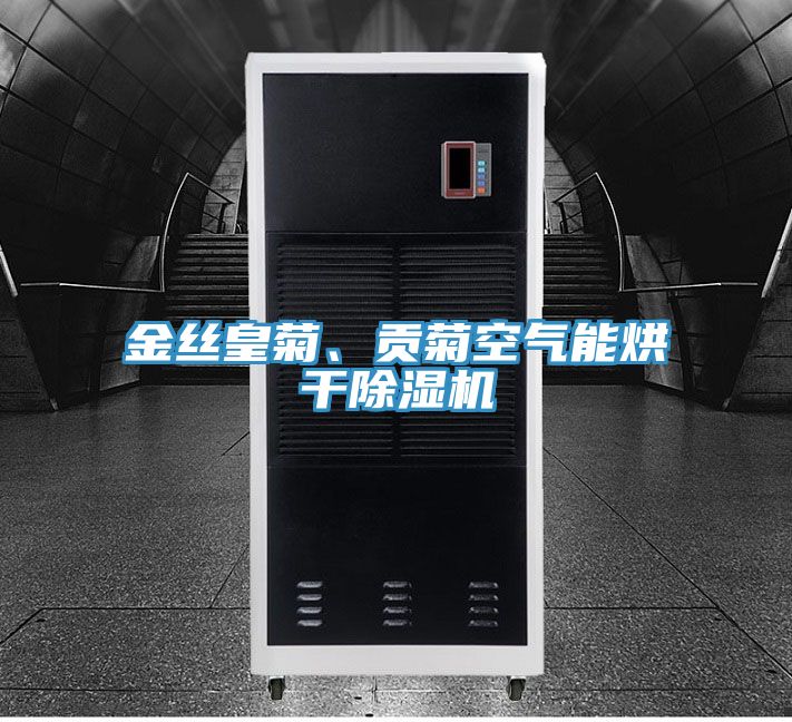 金丝皇菊、贡菊空气能烘干MR.好色破解版