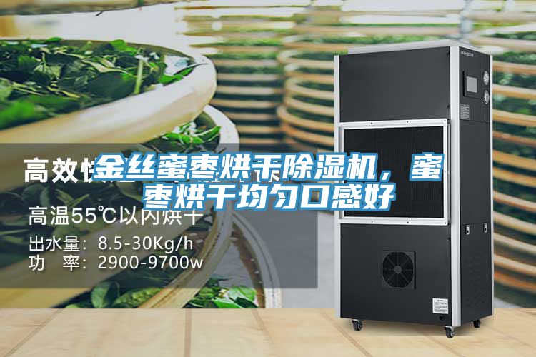 金丝蜜枣烘干MR.好色破解版，蜜枣烘干均匀口感好
