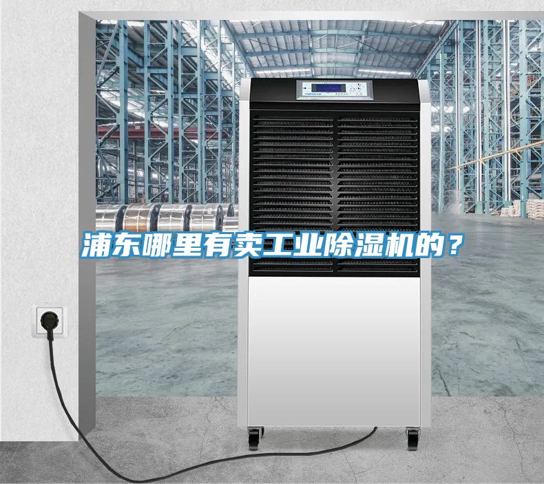 浦东哪里有卖工业MR.好色破解版的？