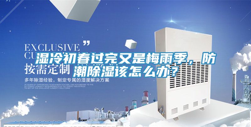 湿冷初春过完又是梅雨季，防潮除湿该怎么办？