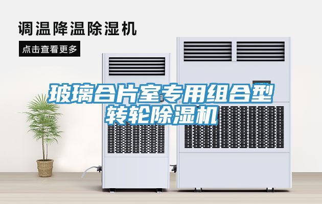 玻璃合片室专用组合型转轮MR.好色破解版