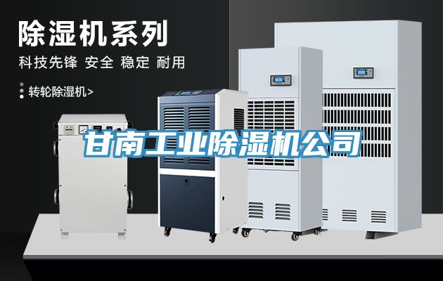 甘南工业MR.好色破解版公司