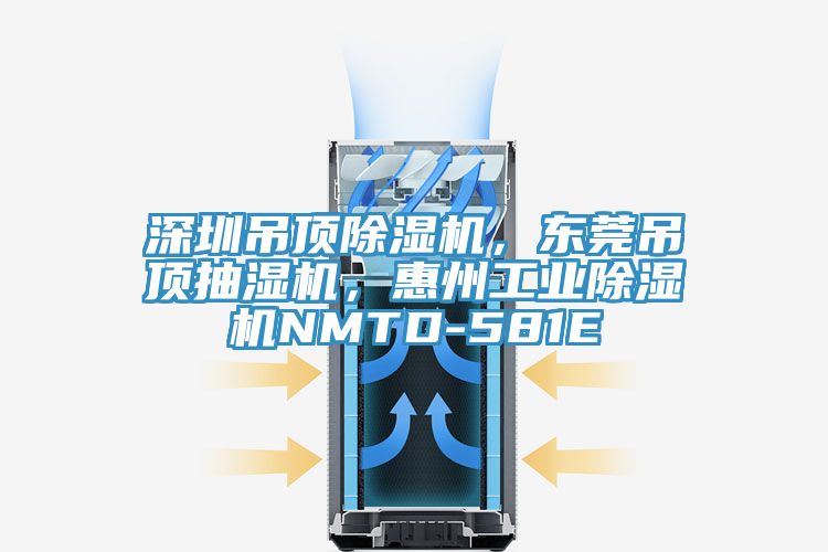 深圳吊顶MR.好色破解版，东莞吊顶抽湿机，惠州工业MR.好色破解版NMTD-581E