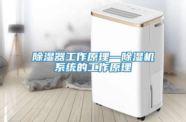 除湿器工作原理—MR.好色破解版系统的工作原理