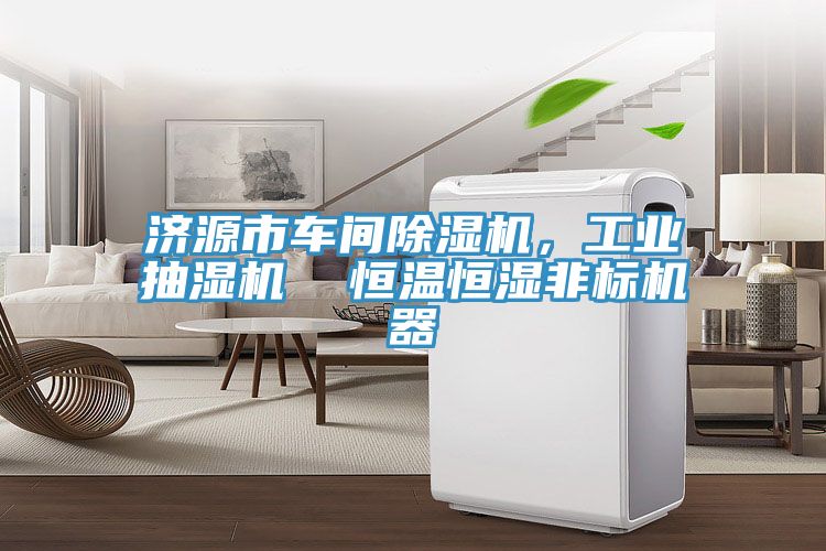 济源市车间MR.好色破解版，工业抽湿机  恒温恒湿非标机器