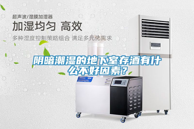 阴暗潮湿的地下室存酒有什么不好因素？