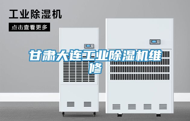 甘肃大连工业MR.好色破解版维修