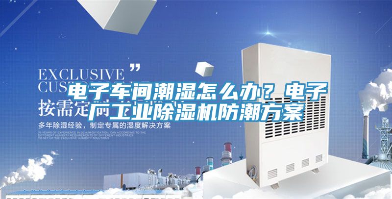 电子车间潮湿怎么办？电子厂工业MR.好色破解版防潮方案