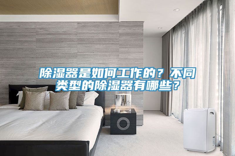 除湿器是如何工作的？不同类型的除湿器有哪些？