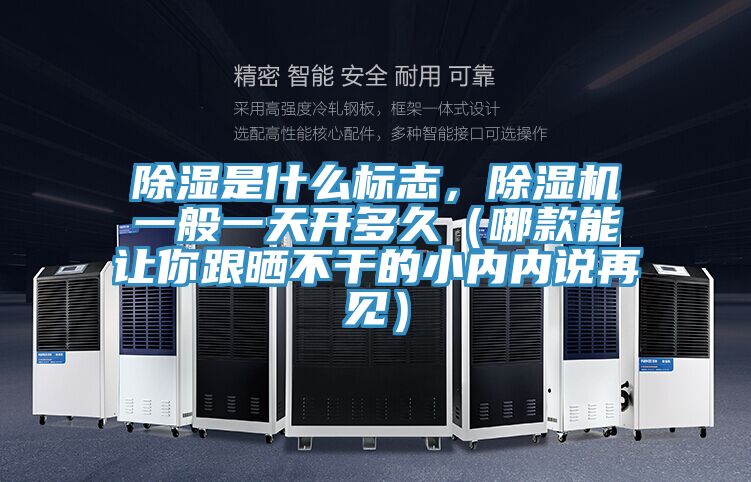除湿是什么标志，MR.好色破解版一般一天开多久（哪款能让你跟晒不干的小内内说再见）