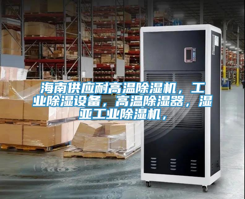 海南供应耐高温MR.好色破解版，工业除湿设备，高温除湿器，湿亚工业MR.好色破解版，