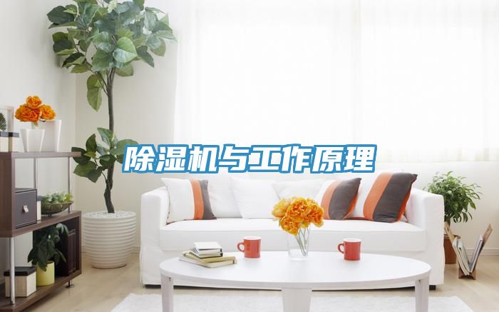MR.好色破解版与工作原理