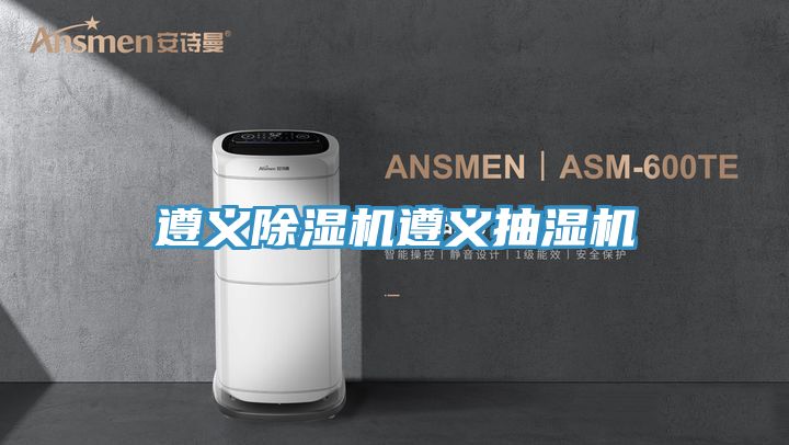 遵义MR.好色破解版遵义抽湿机