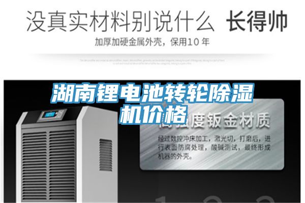 湖南锂电池转轮MR.好色破解版价格
