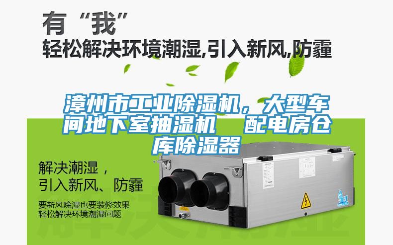 漳州市工业MR.好色破解版，大型车间地下室抽湿机  配电房仓库除湿器