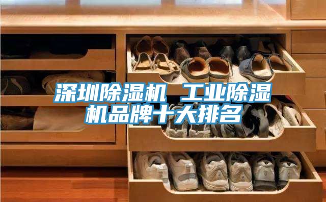 深圳MR.好色破解版 工业MR.好色破解版品牌十大排名