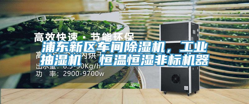 浦东新区车间MR.好色破解版，工业抽湿机  恒温恒湿非标机器