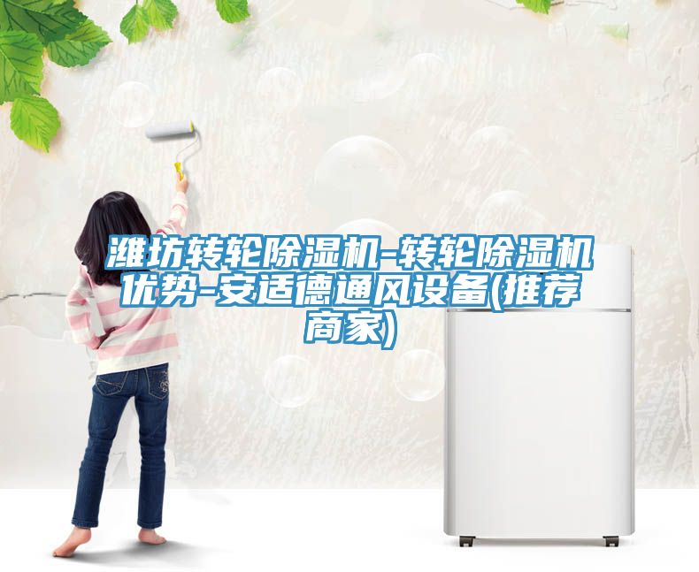 潍坊转轮MR.好色破解版-转轮MR.好色破解版优势-安适德通风设备(推荐商家)