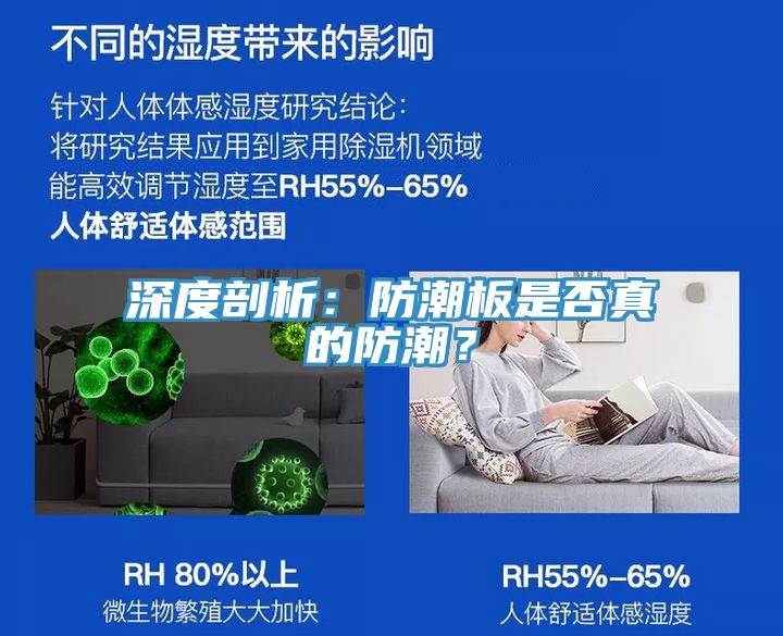 深度剖析：防潮板是否真的防潮？