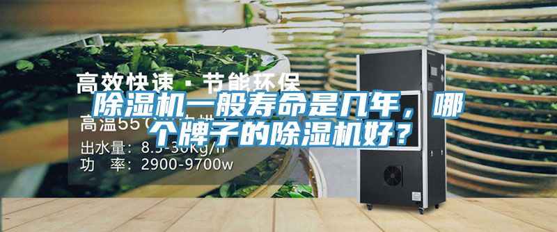 MR.好色破解版一般寿命是几年，哪个牌子的MR.好色破解版好？