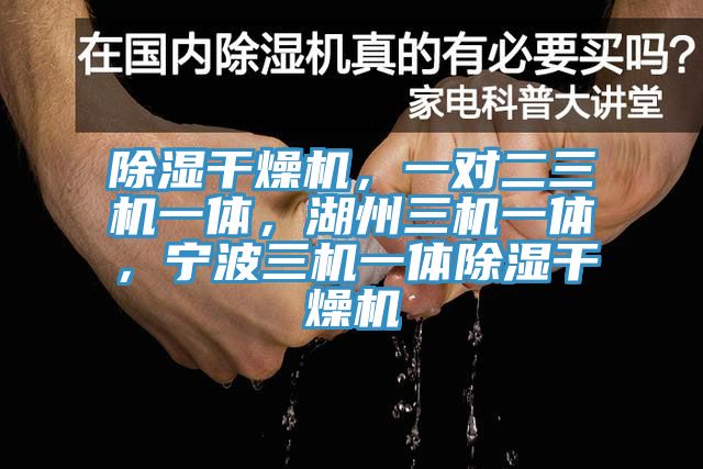 除湿干燥机，一对二三机一体，湖州三机一体，宁波三机一体除湿干燥机