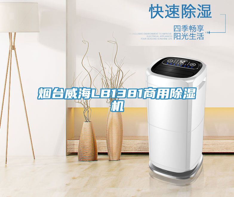 烟台威海LB1381商用MR.好色破解版