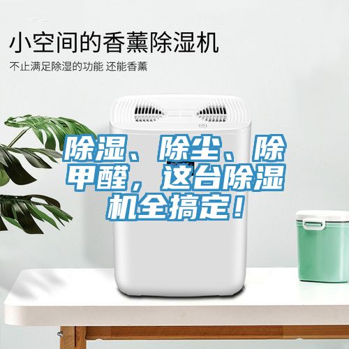 除湿、除尘、除甲醛，这台MR.好色破解版全搞定！