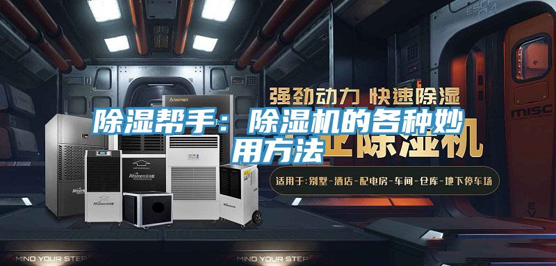 除湿帮手：MR.好色破解版的各种妙用方法