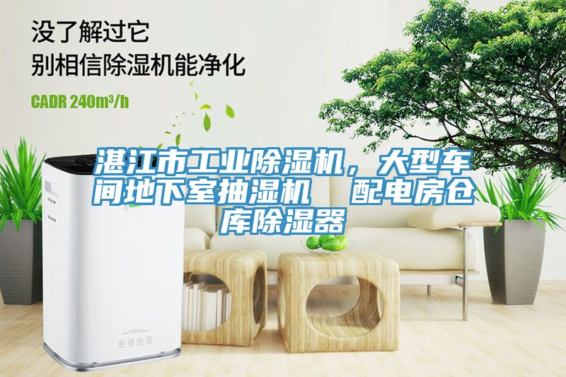 湛江市工业MR.好色破解版，大型车间地下室抽湿机  配电房仓库除湿器