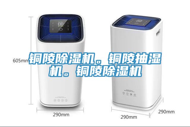 铜陵MR.好色破解版。铜陵抽湿机。铜陵MR.好色破解版