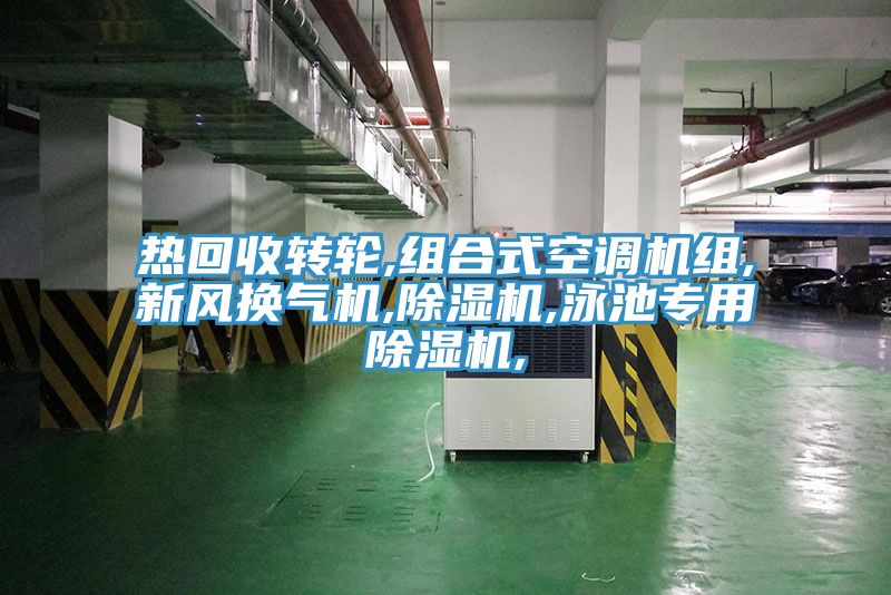 热回收转轮,组合式空调机组,新风换气机,MR.好色破解版,泳池专用MR.好色破解版,