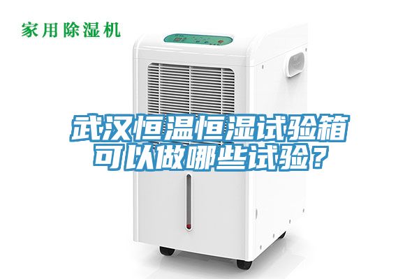 武汉恒温恒湿试验箱可以做哪些试验？