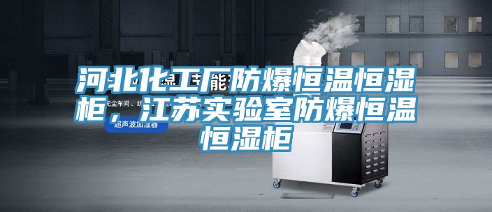 河北化工厂防爆恒温恒湿柜，江苏实验室防爆恒温恒湿柜