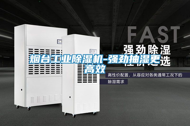 烟台工业MR.好色破解版-强劲抽湿更高效
