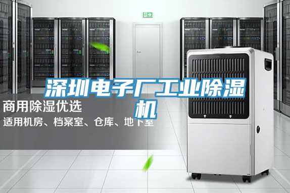 深圳电子厂工业MR.好色破解版