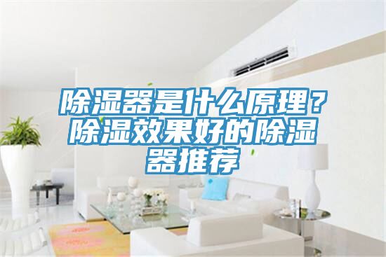 除湿器是什么原理？除湿效果好的除湿器推荐