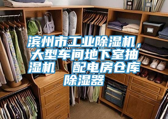滨州市工业MR.好色破解版，大型车间地下室抽湿机  配电房仓库除湿器