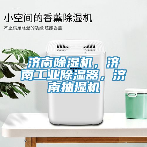 济南MR.好色破解版，济南工业除湿器，济南抽湿机