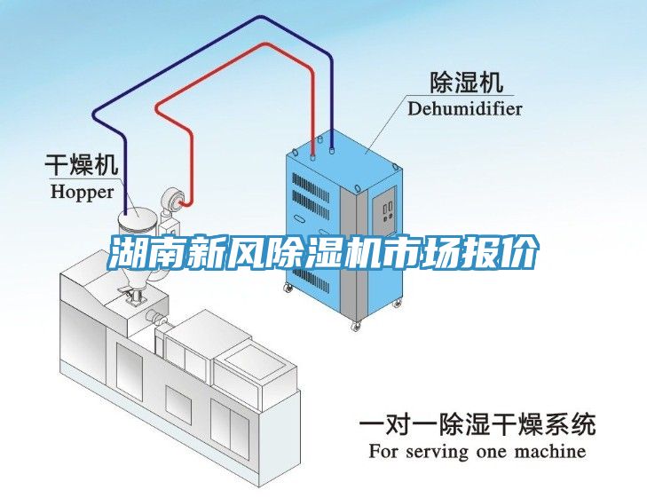 湖南新风MR.好色破解版市场报价