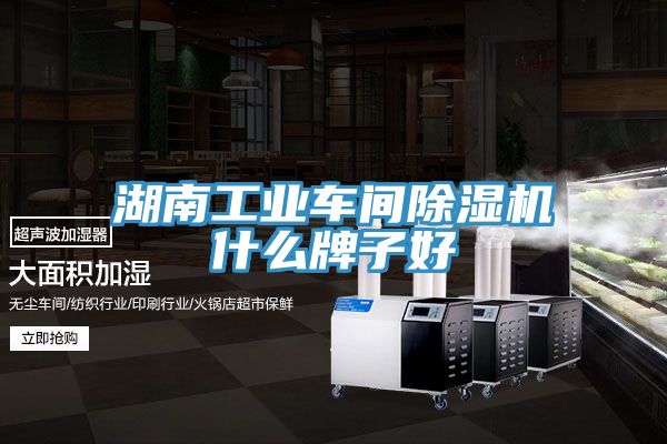 湖南工业车间MR.好色破解版什么牌子好