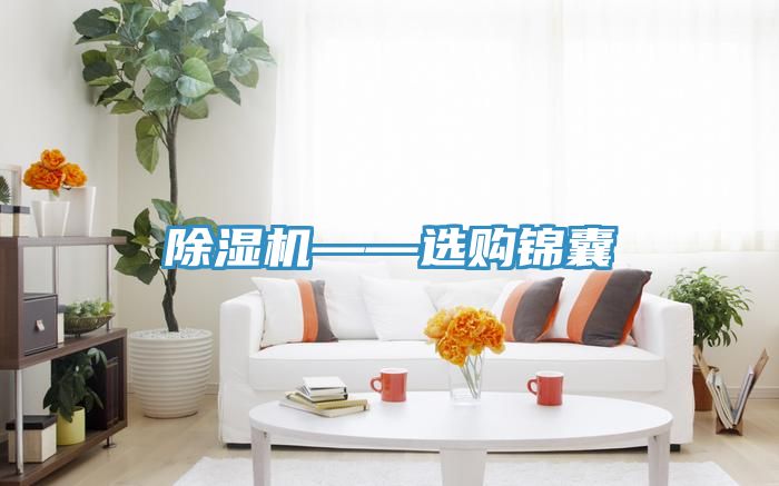 MR.好色破解版——选购锦囊