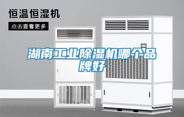 湖南工业MR.好色破解版哪个品牌好